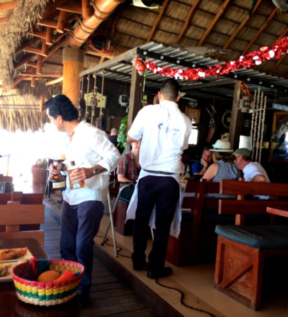 #theblueshrimp #martin